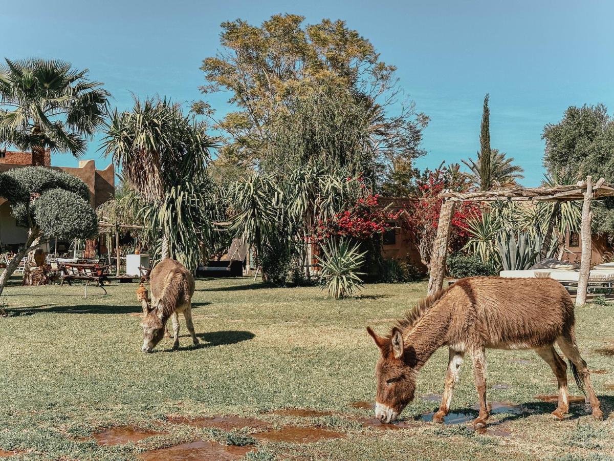 ホテル Le Bled De Gre エル・マキナ エクステリア 写真